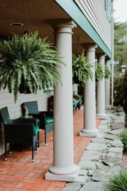 PMP Front Ferns.jpg