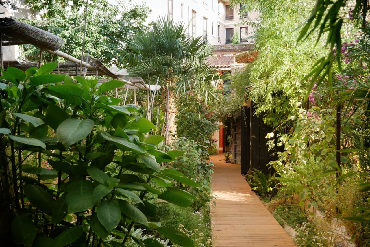 Un chemin de verdure