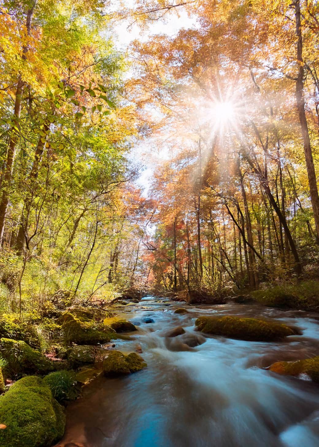 Wolf Creek on a gorgeous fall day!