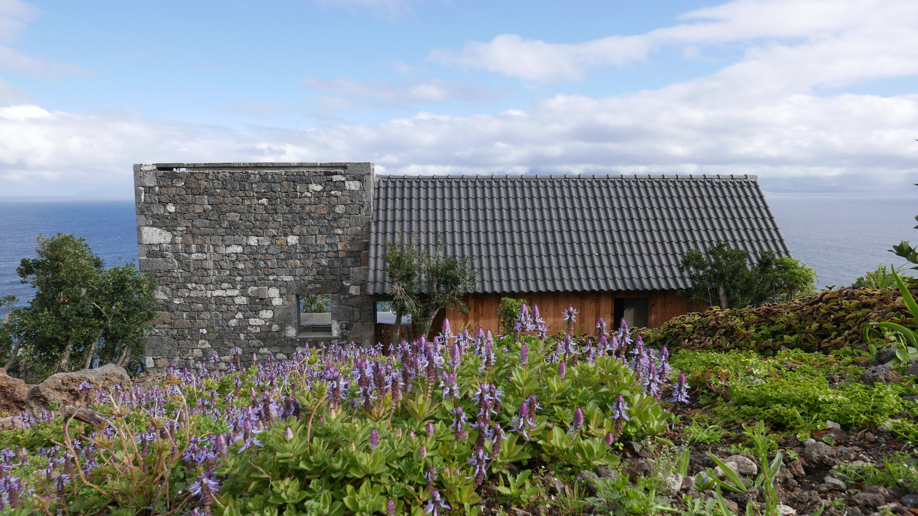 Vista traseira / Back view