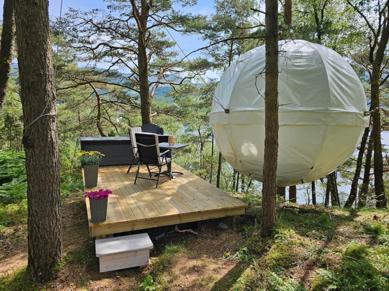 The Cocoon