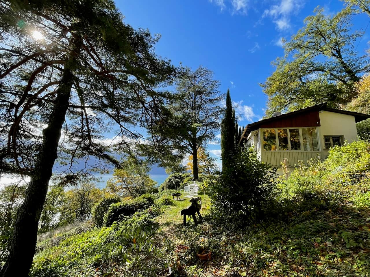 Lodge from the Garden