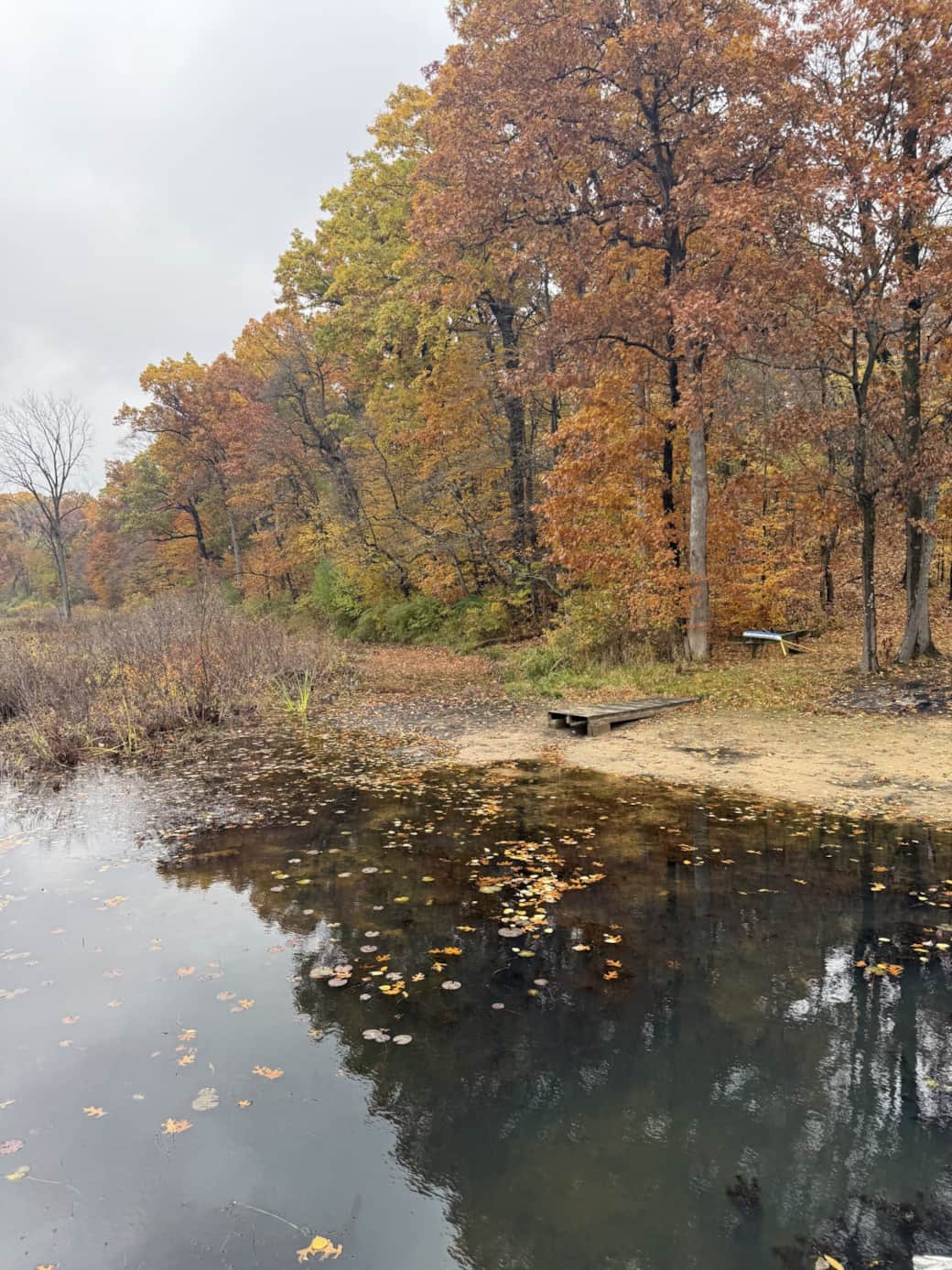 Lodge at Brown Lake Fall view