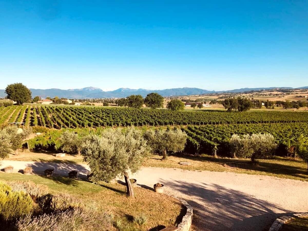 Perticaia Winery.jpeg