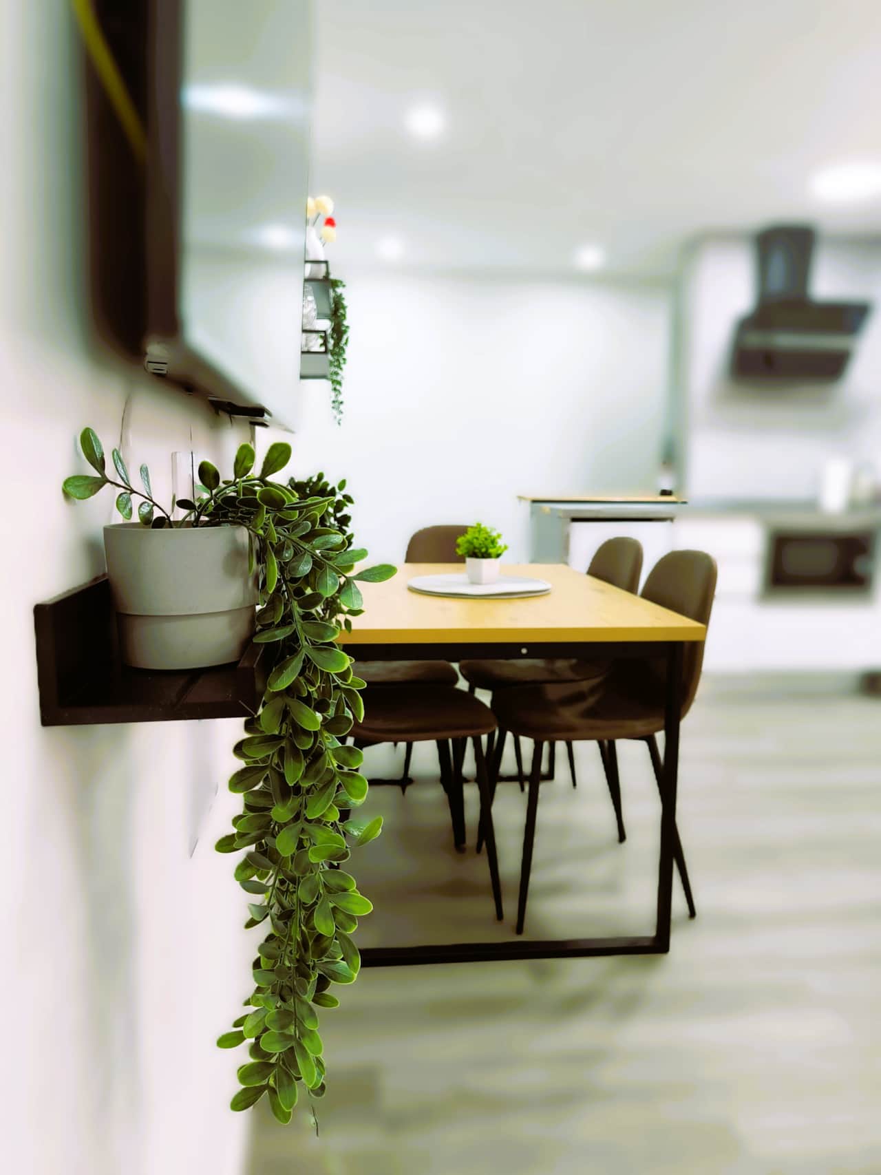 Salón - zona comedor