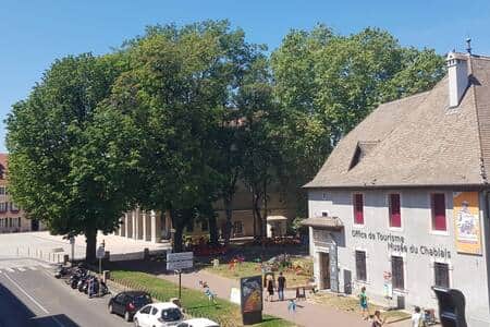 A61a1845 80ac 419d b1a4 73df2f02c788 A61a1845 80ac 419d b1a4 73df2f02c788