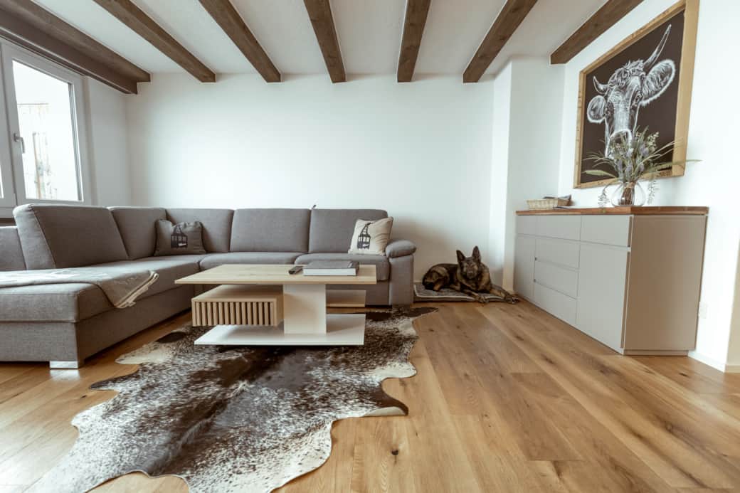 Sofaecke und Hundebett