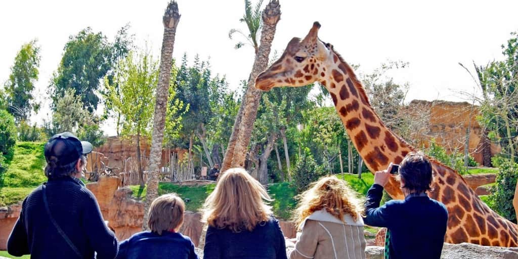 Zoo y Jardín Botánico de Jerez