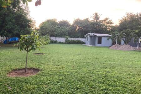 Front Lawn