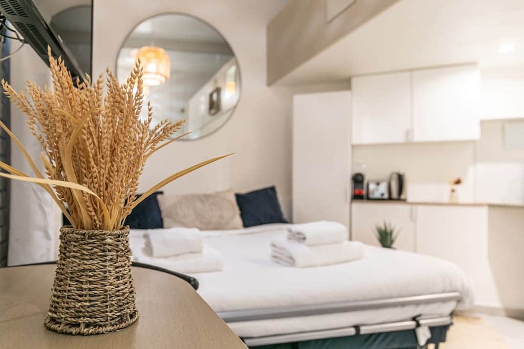 Salon avec canapé-lit 