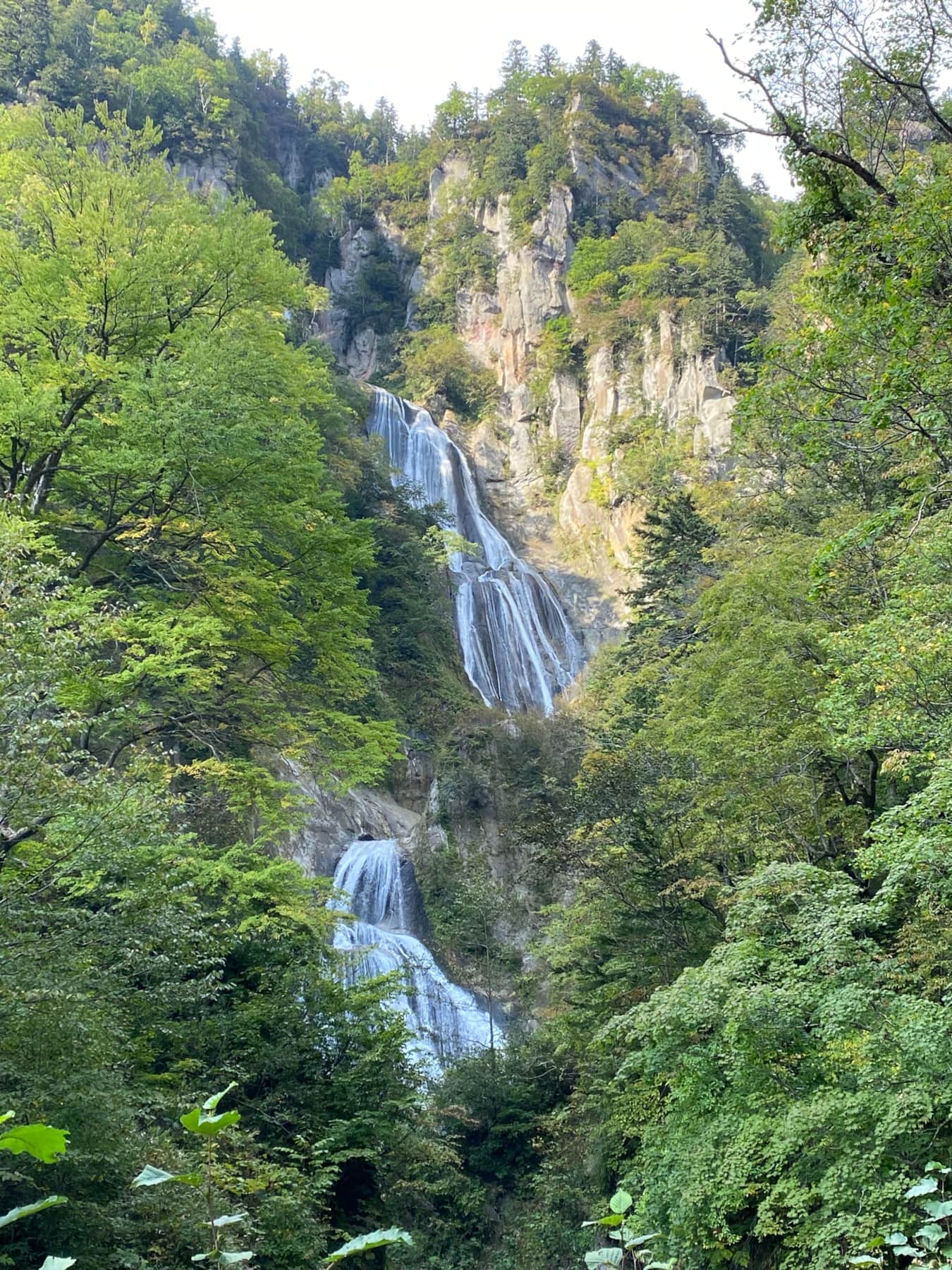 Waterfall in the area