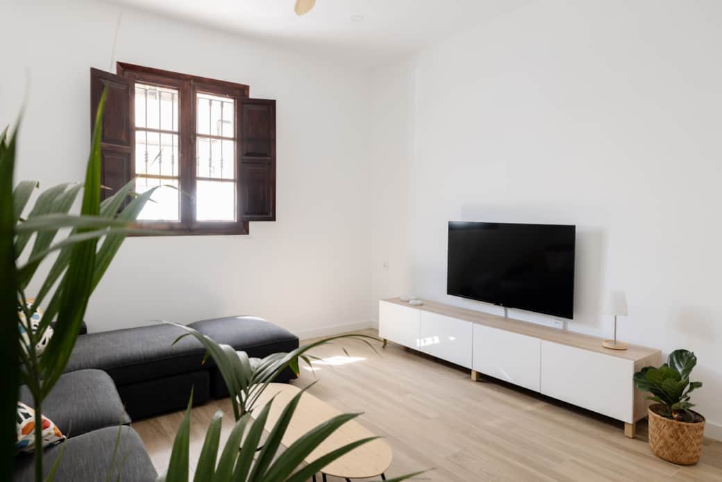Salón y zona de televisión