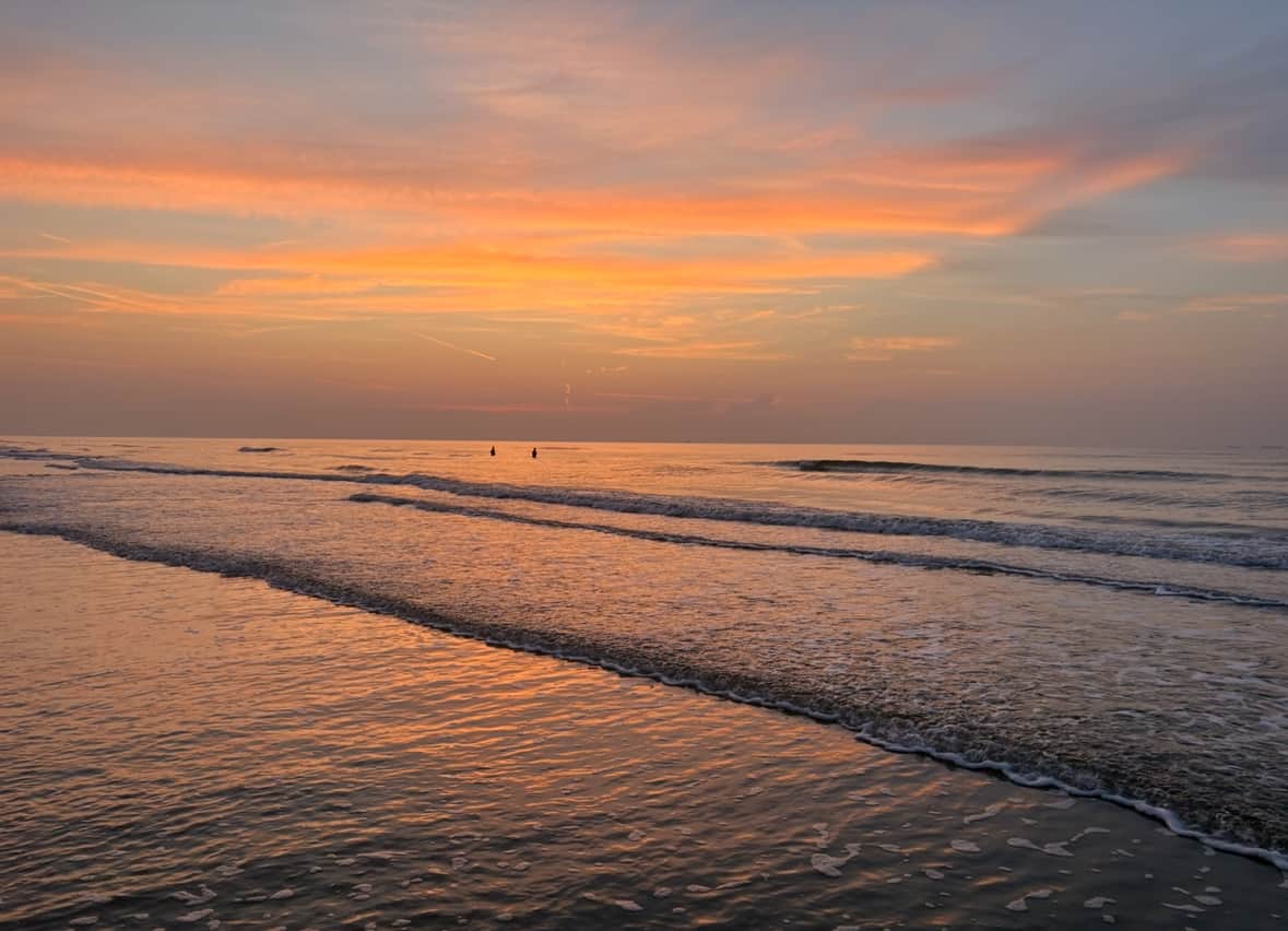 Close-up of seashells and gentle surf on the Galveston shoreline during winter