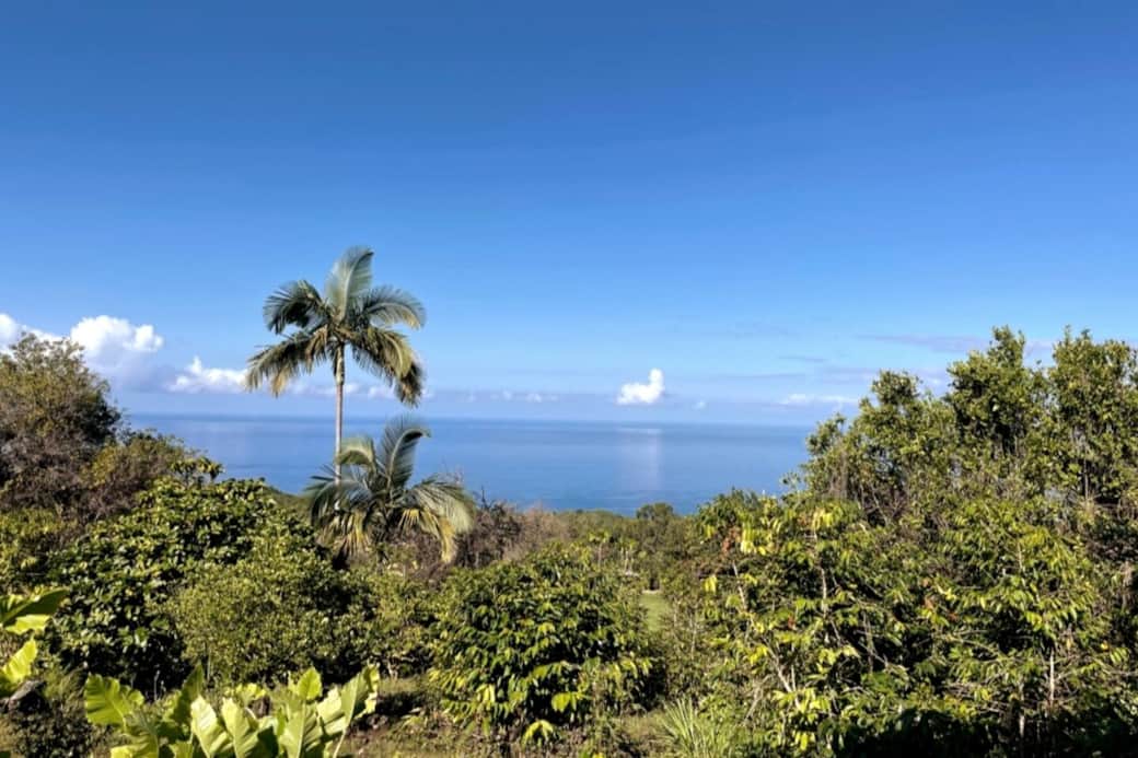 Ocean view from the west facing side of house: bedrooms 2 &3, bathroom, dining and living rooms.