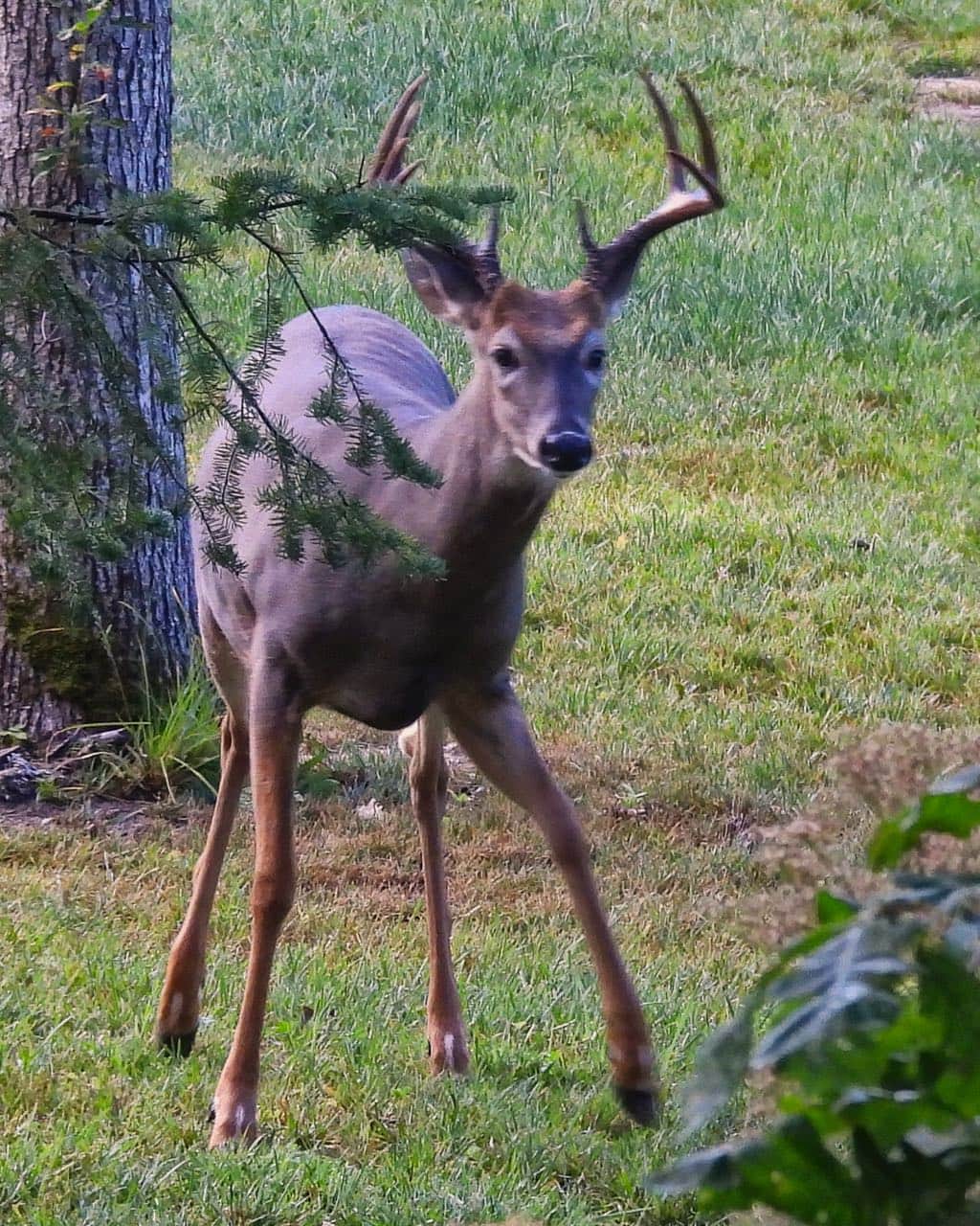 5F74DE76 4849 4B17 ADB2 7B773A038F2EDSCN9363