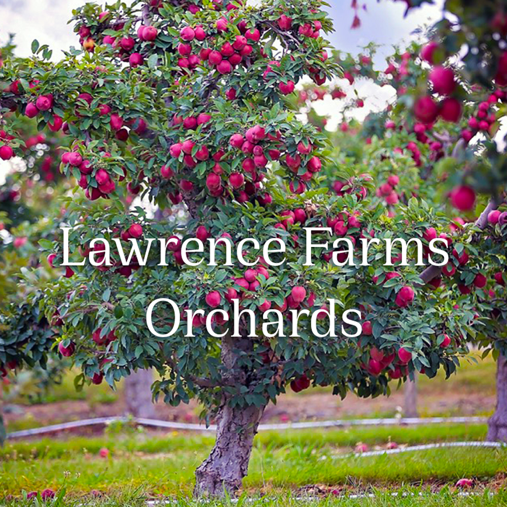 lawrence-farms