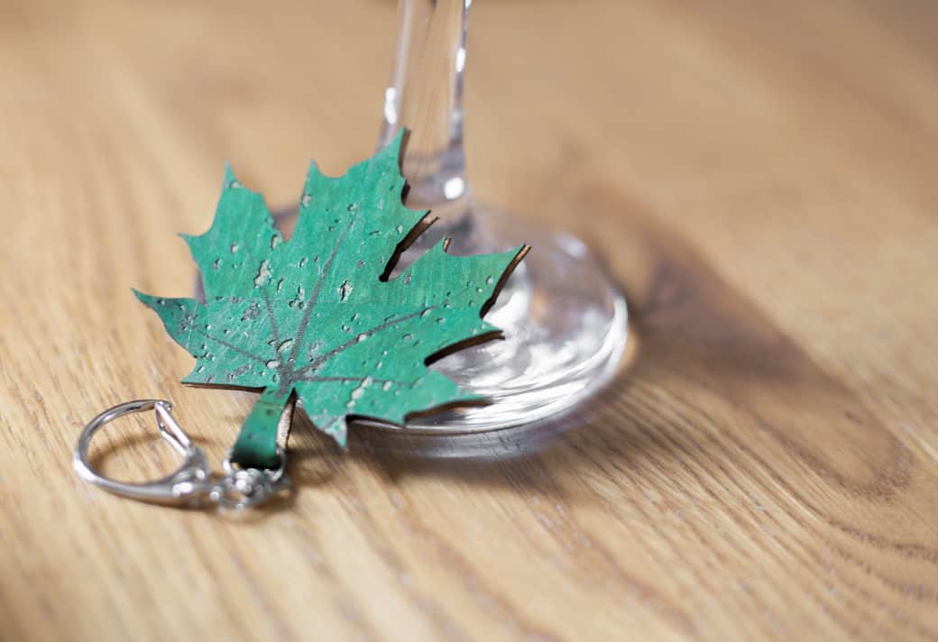 The Green Leaf Apartment Gallery