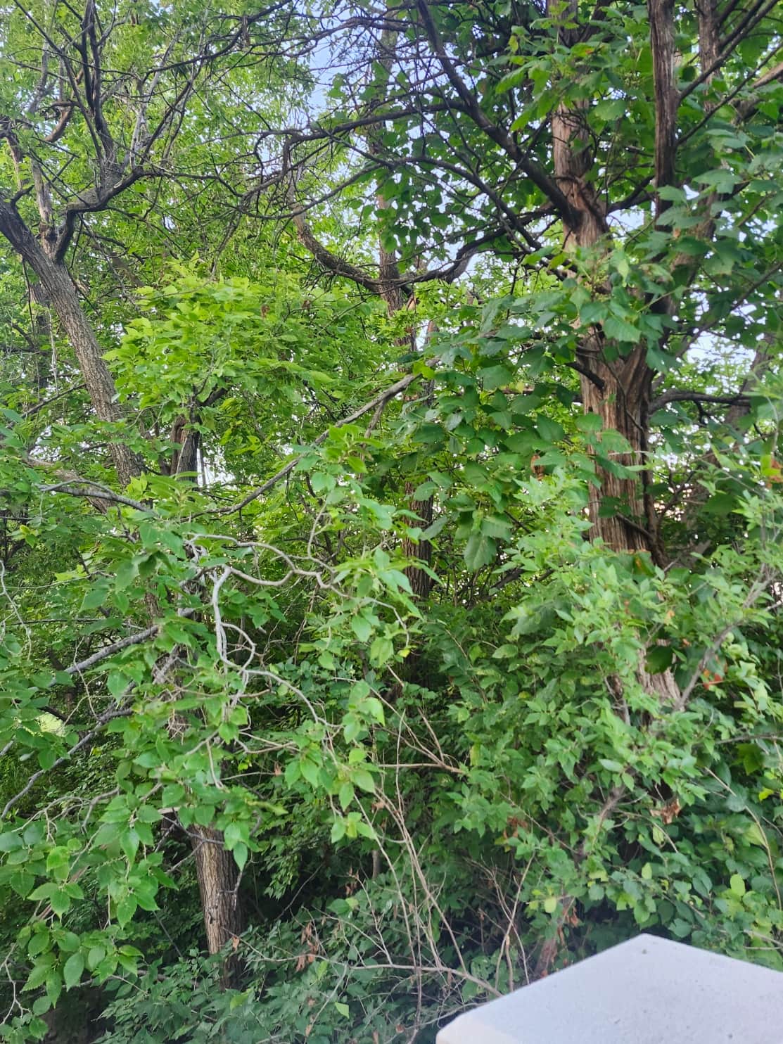 https://l.icdbcdn.com/oh/915df55d-6dd2-4aca-b0a0-8d8d7173b01e.jpg?w=2080-45