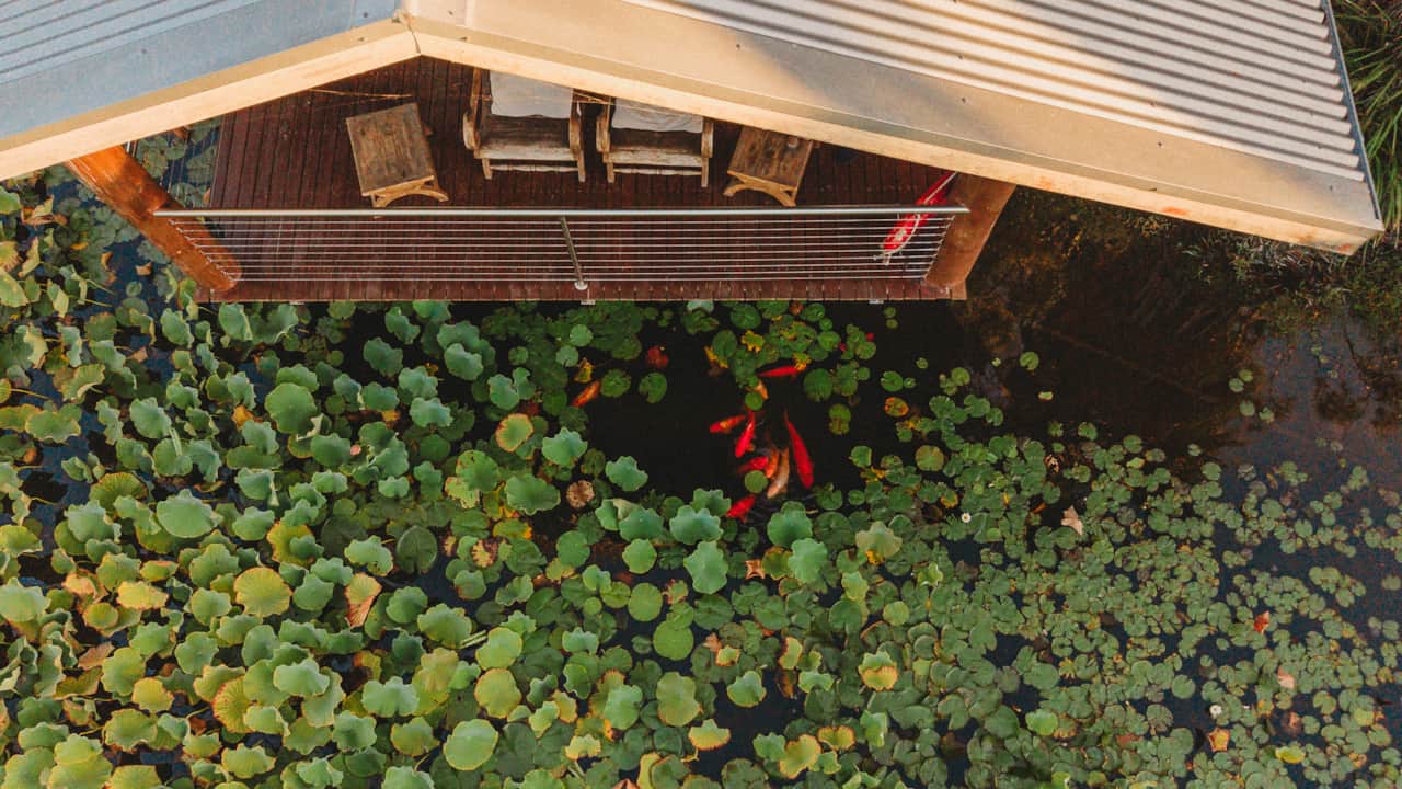 Each boathouse has its own private deck