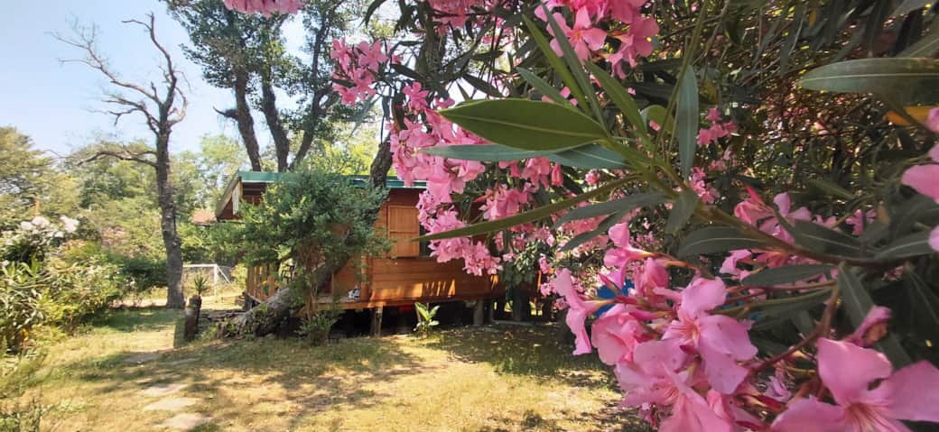 Sideview from parkinglot