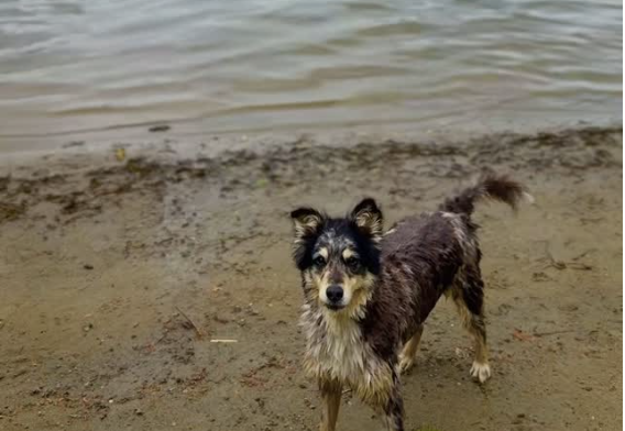 CozyCottages Instagram Reel