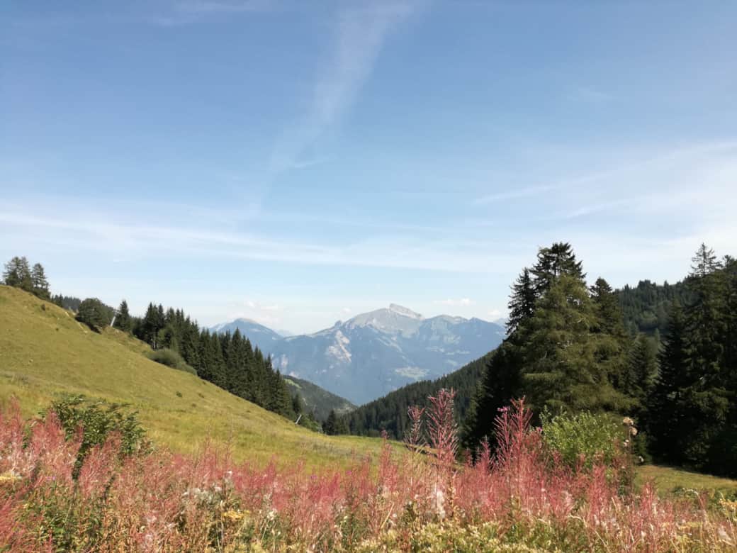 Domizil (Karte), Ch. Vignes dEn-Haut 9, 1895 Vionnaz PROSAN SARL, Vionnaz, CHE-178.945.884, socit responsabilit limite (No Date des statuts: PROSAN SARL, Vionnaz - Kontakt - Easymonitoring