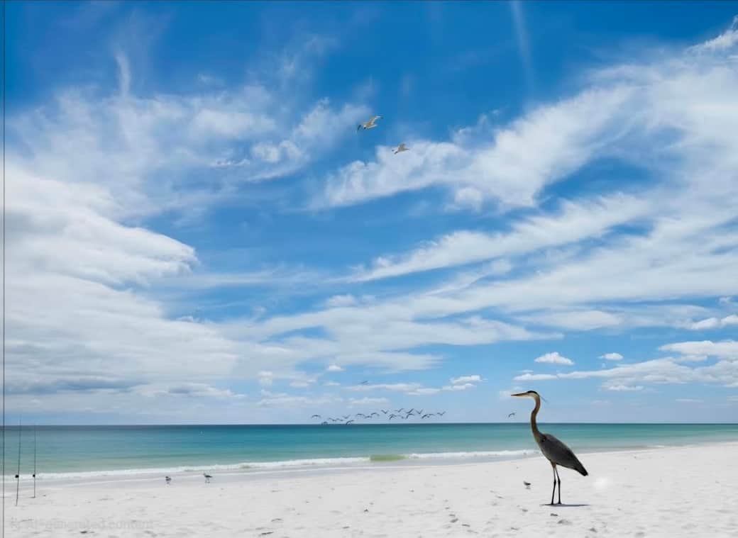 Beach less than 10 minutes away