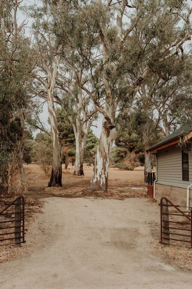 Entrance gates 