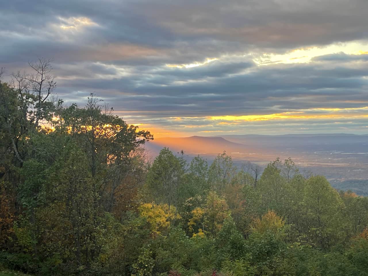 Fall Views
