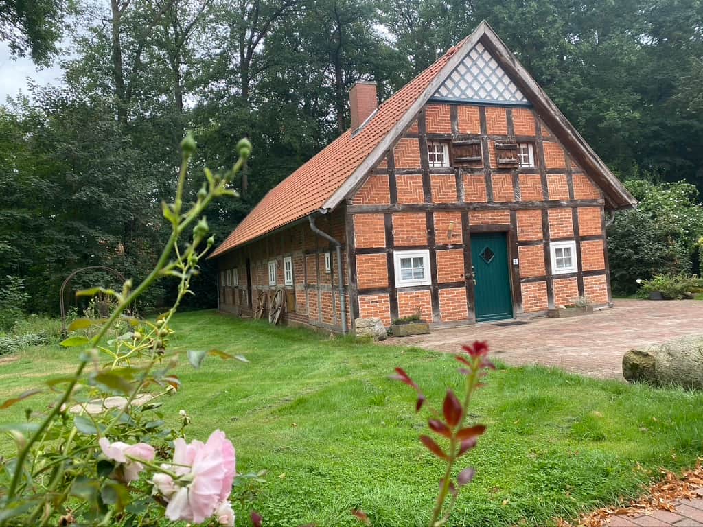 E36FF6EA 4E84 493E 84E9 2E8391311CC9 1 105 c