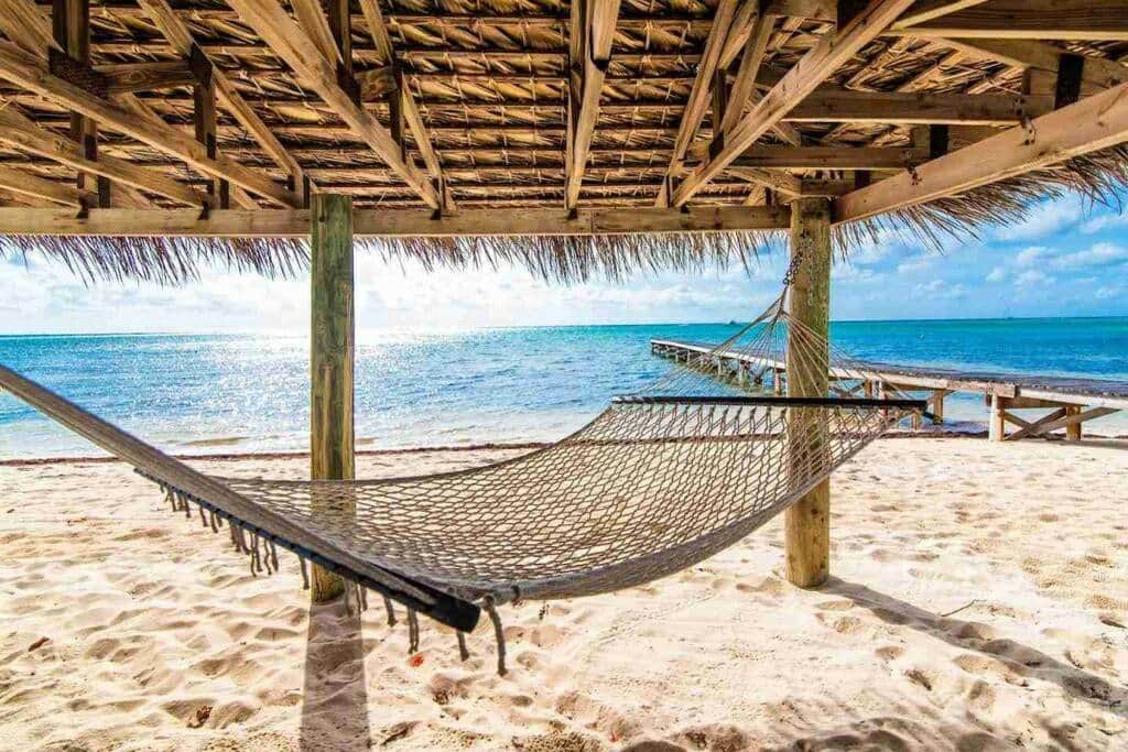 Chill in the Hammock
