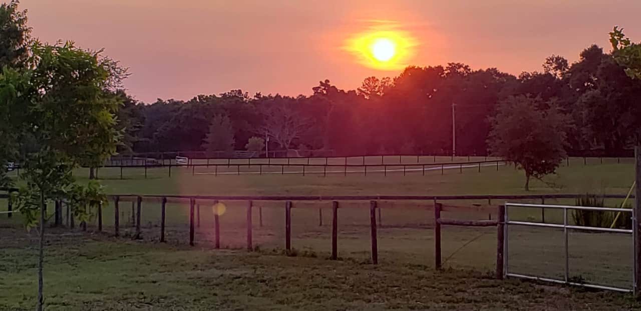 Sunset Over Paddocks