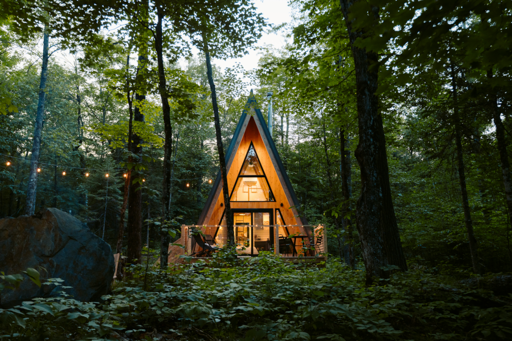 18 Prunella resized 18 Prunella resized