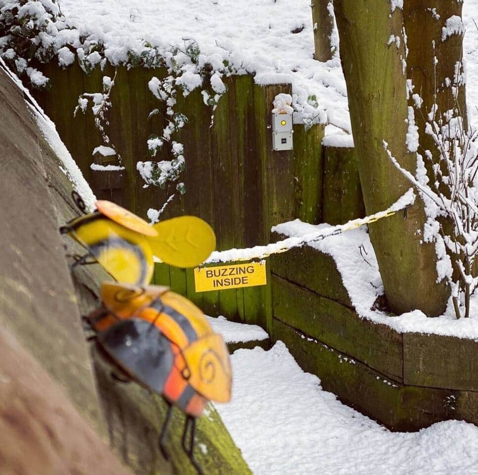 Secluded hideaway Secluded hideaway