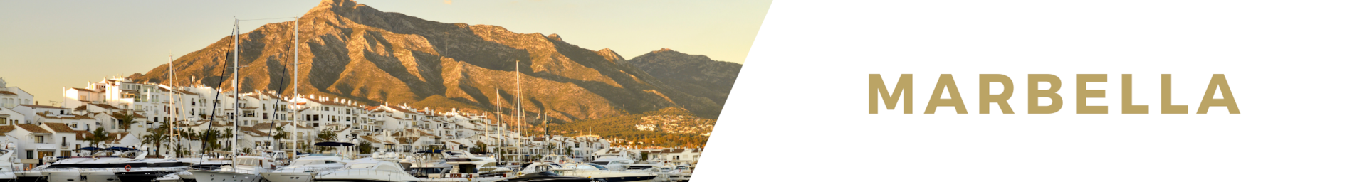 Marbella luxury villa rentals