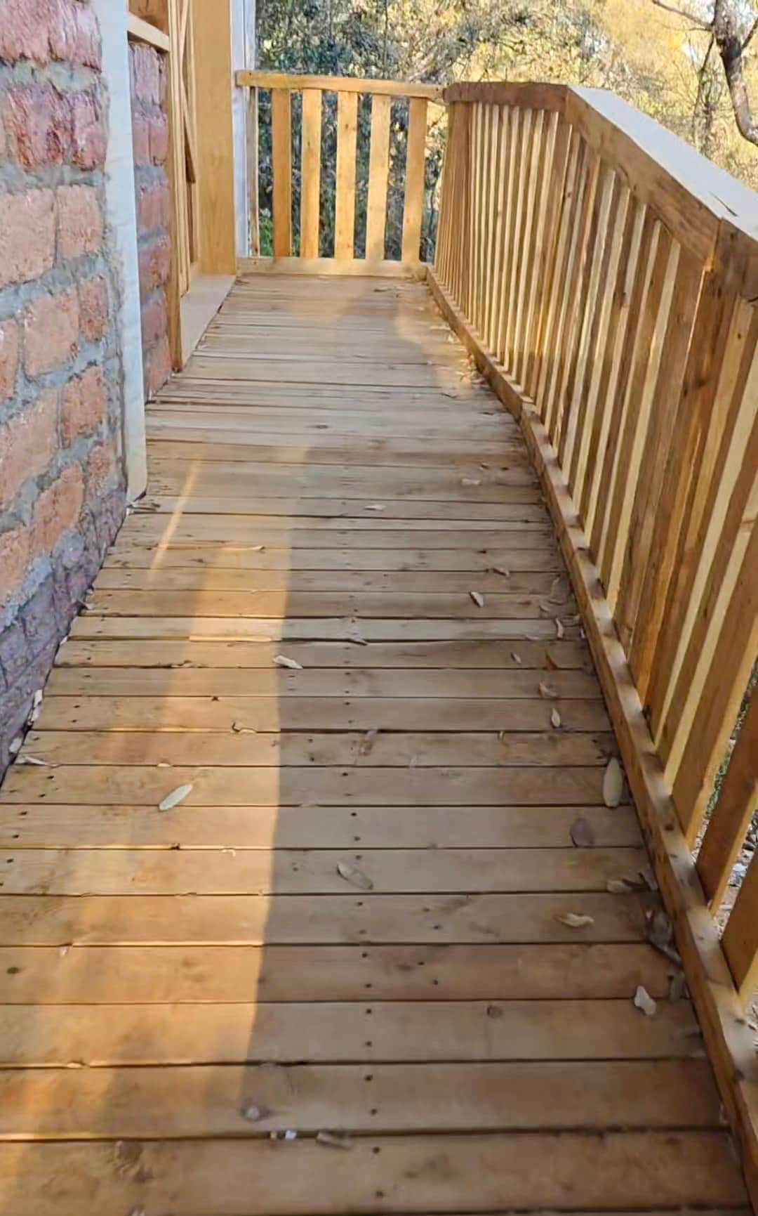 Way to the cabin