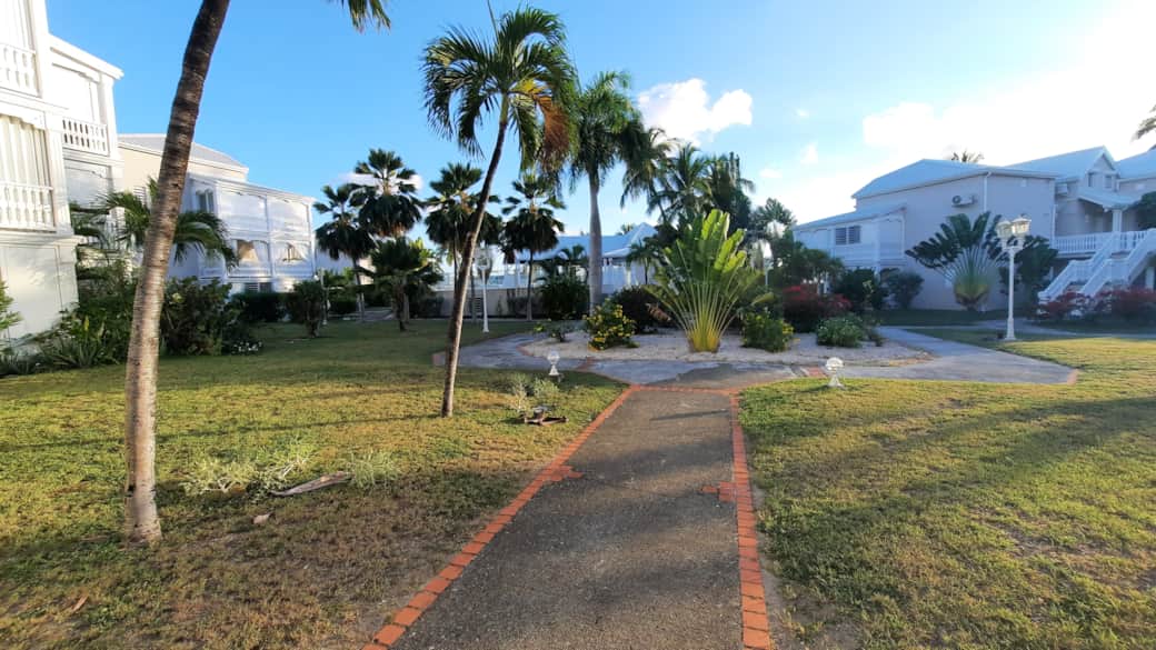 Jardin 1