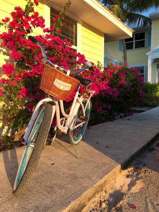 1 of 3 Cottage-only bikes
