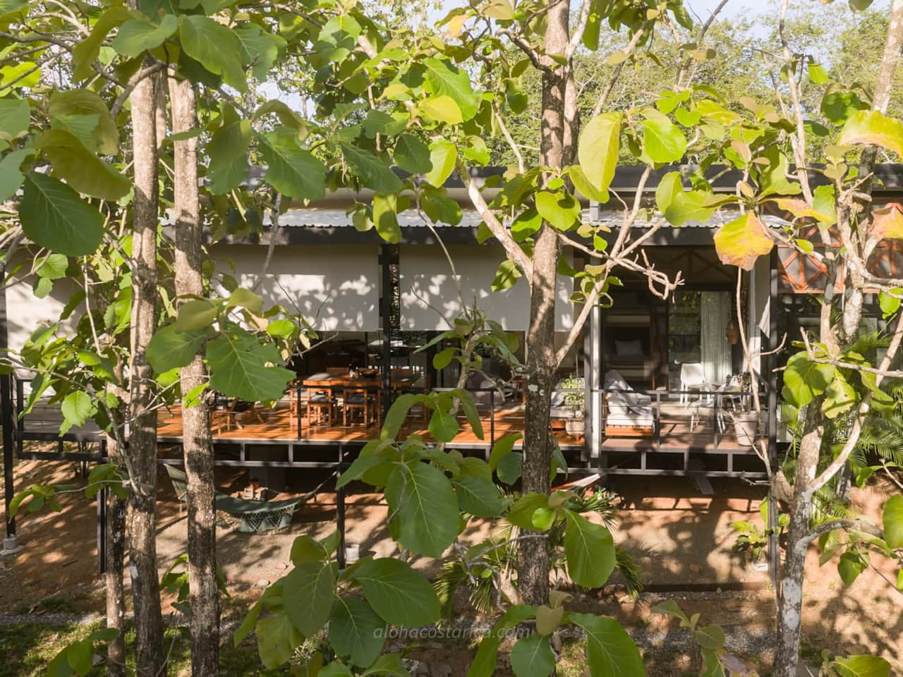Tropical forest surrounding Casa Aloha in Montezuma, Costa Rica