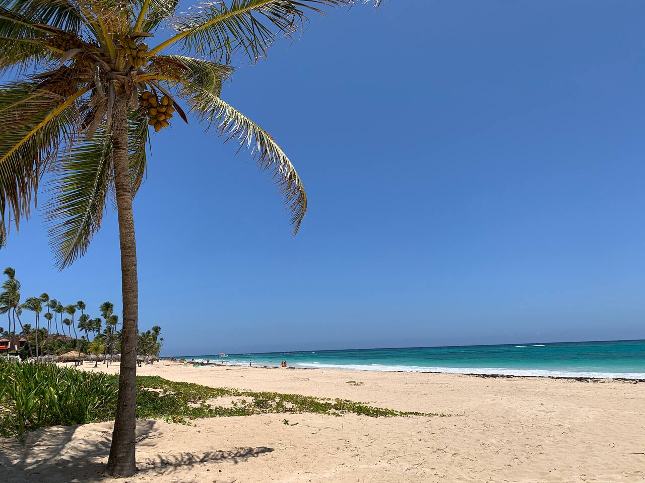 Beautiful Condo Fully Renovated, Pool Beach Access photo 3