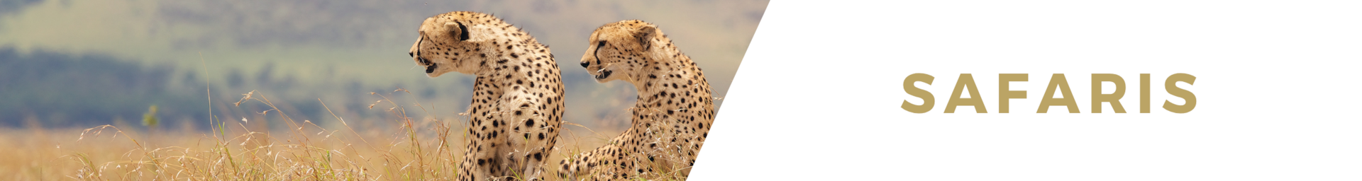 Safaris with luxury villas