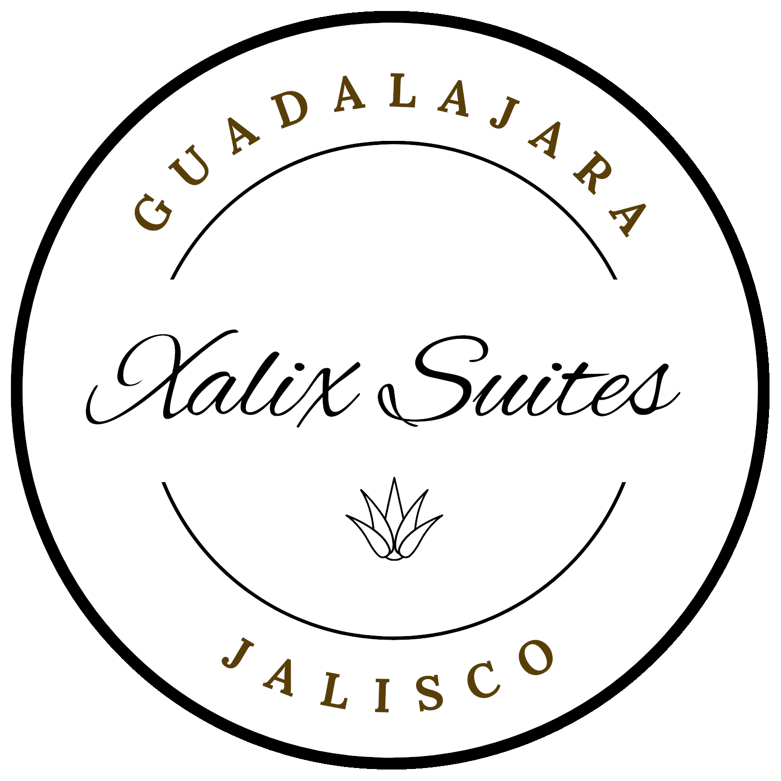 Xalix 