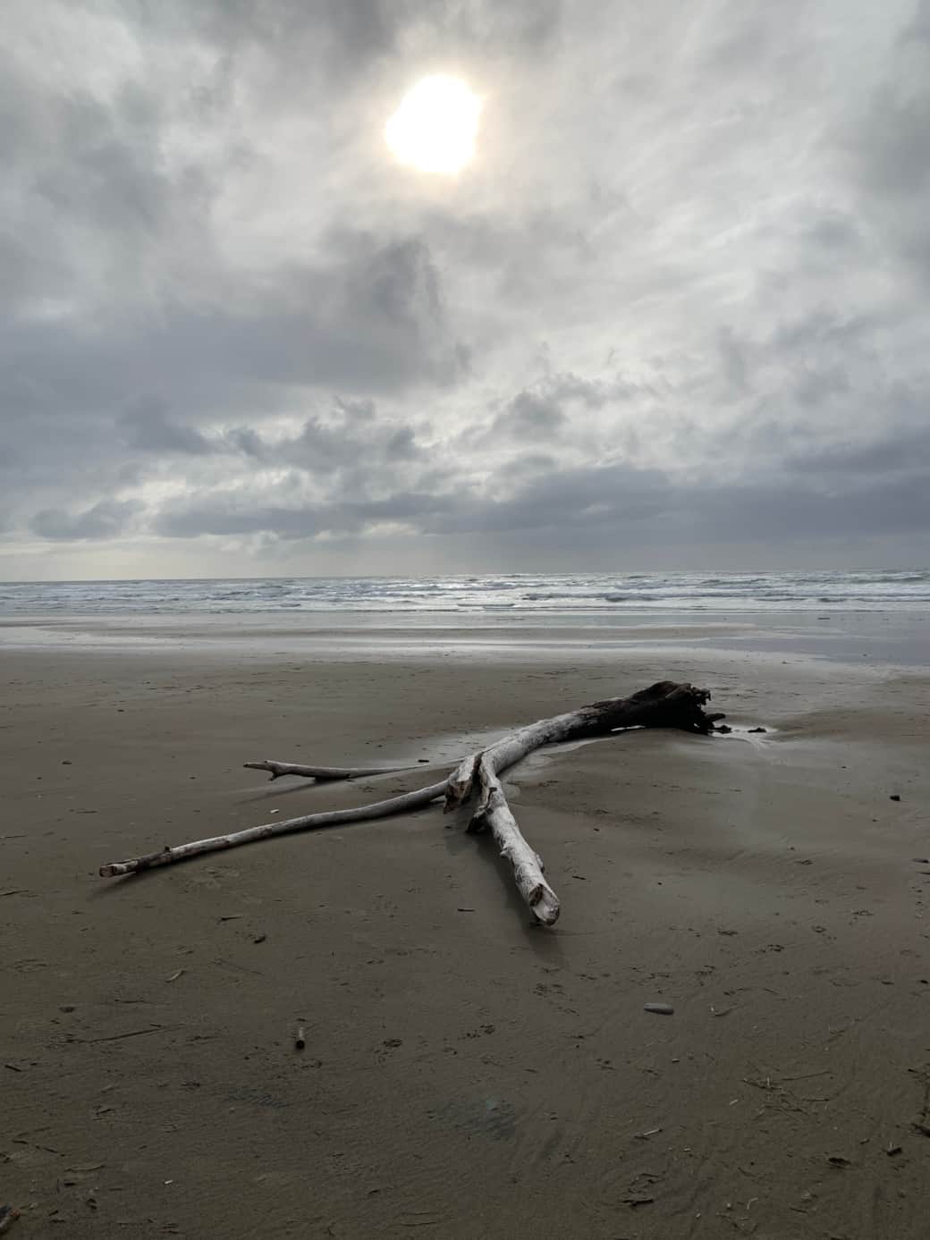 Manzanita Beach
