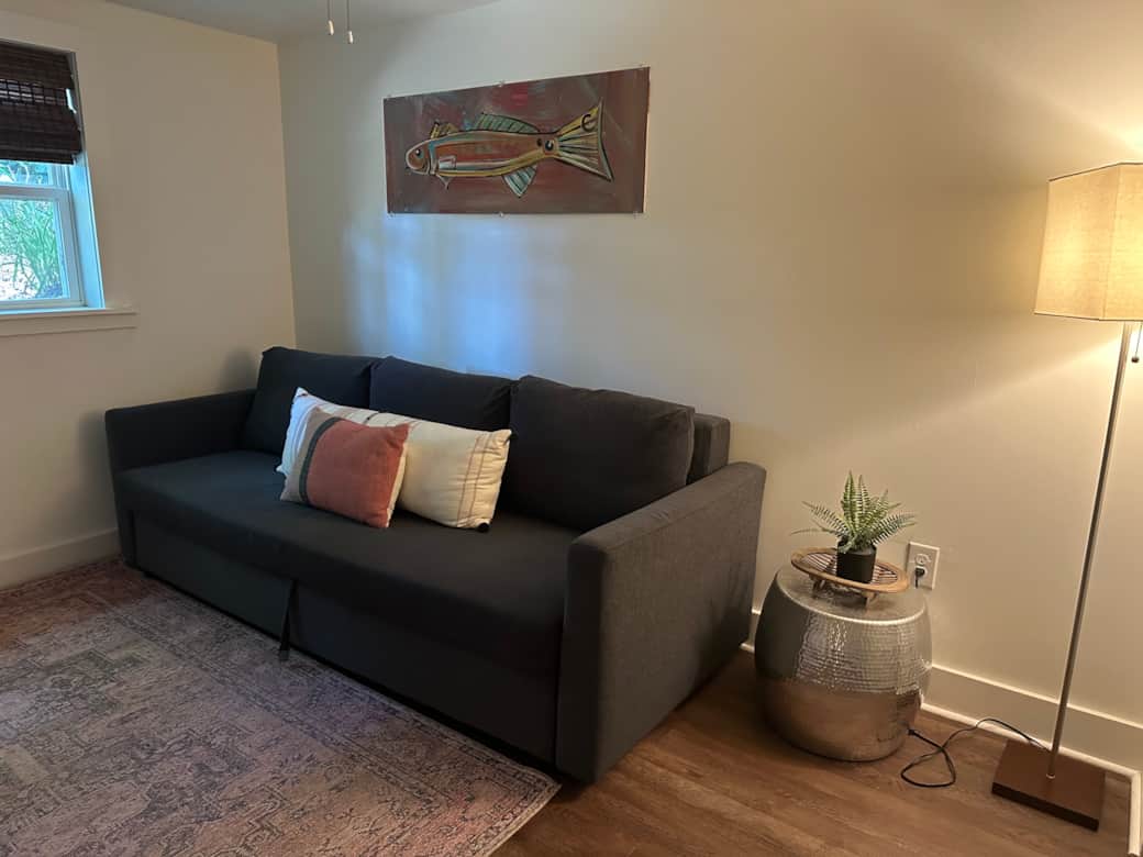 Lower Level Media Room