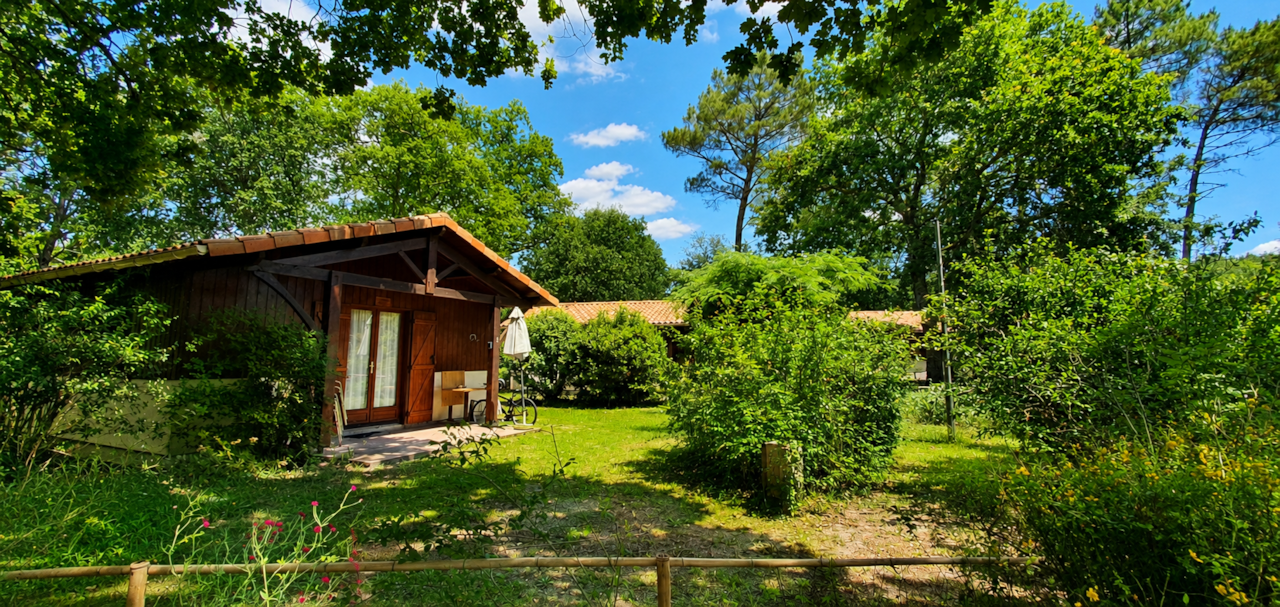 Cabane en bois dans un jardin verdoyant