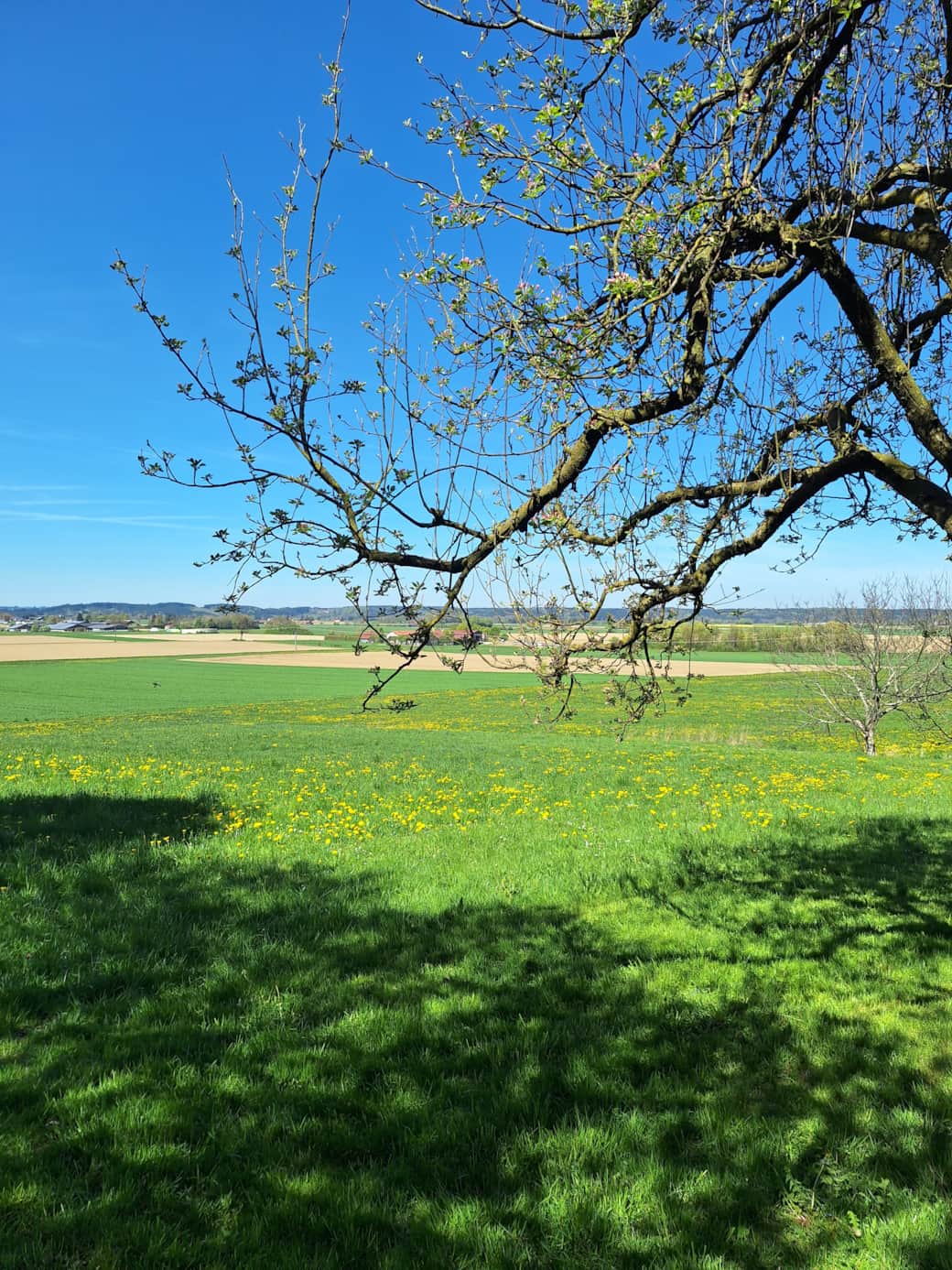Aussicht vom Hof