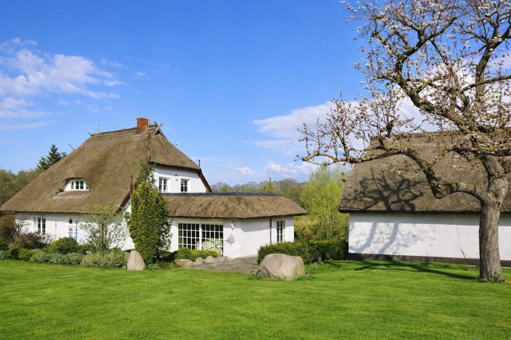 Thatched-roof house