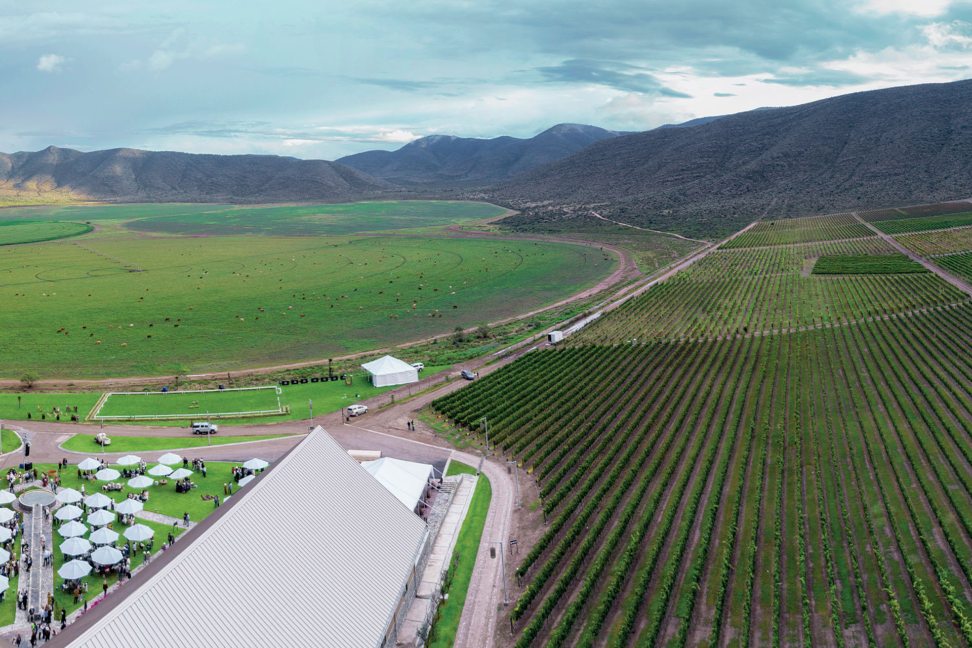 Viñedos y paisajes en Parras, Coahuila