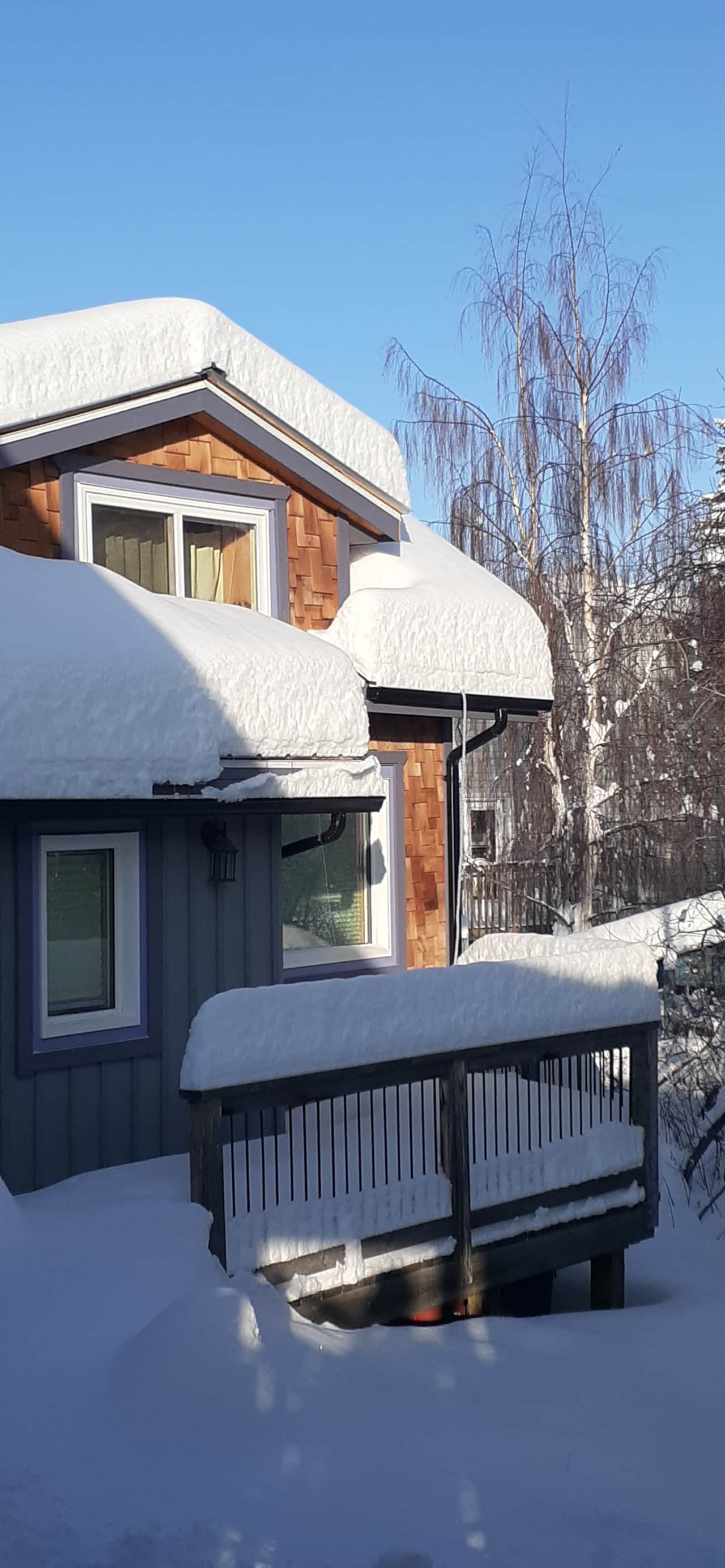 Winter wonderland