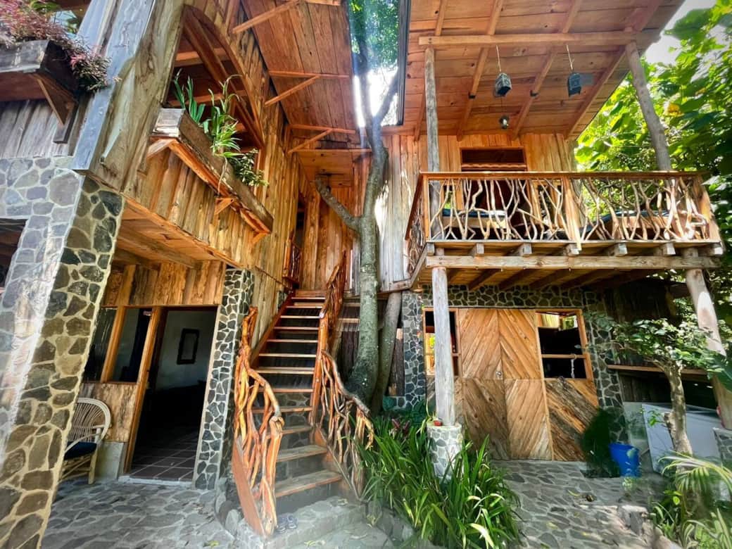 Tree house exterior